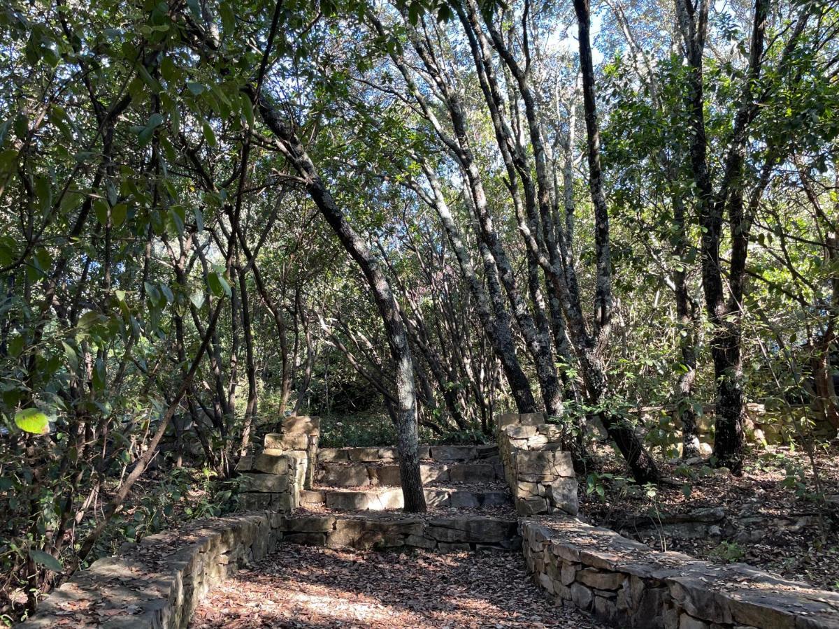 La Canopee Private Lodge